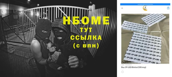 бошки Пересвет