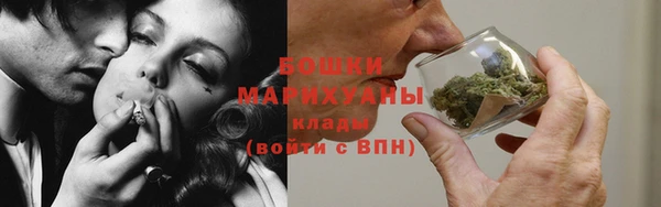 бошки Пересвет