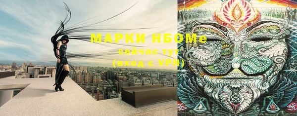 spice Куйбышев