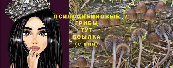 бошки Пересвет