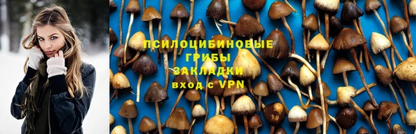 бошки Пересвет