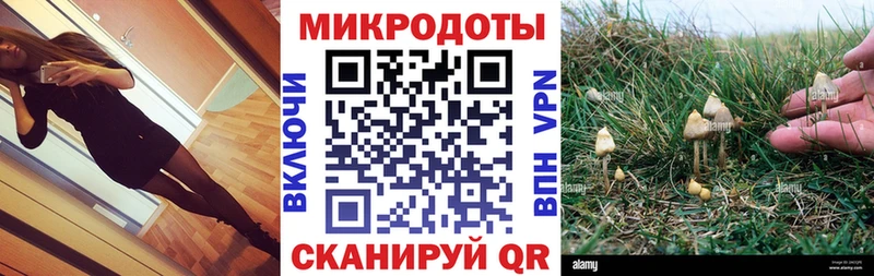 kraken ССЫЛКА  Кизляр  Псилоцибиновые грибы Psilocybe 